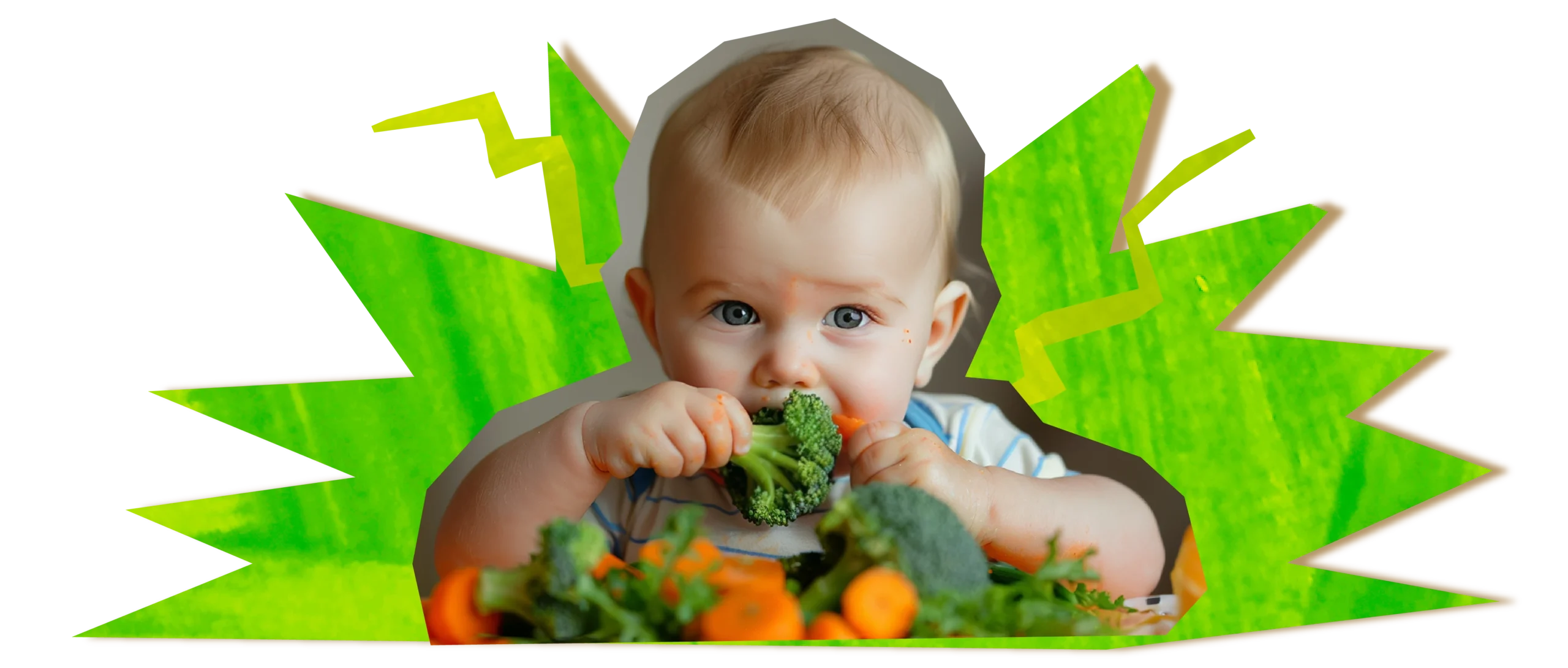 baby led weaning foods