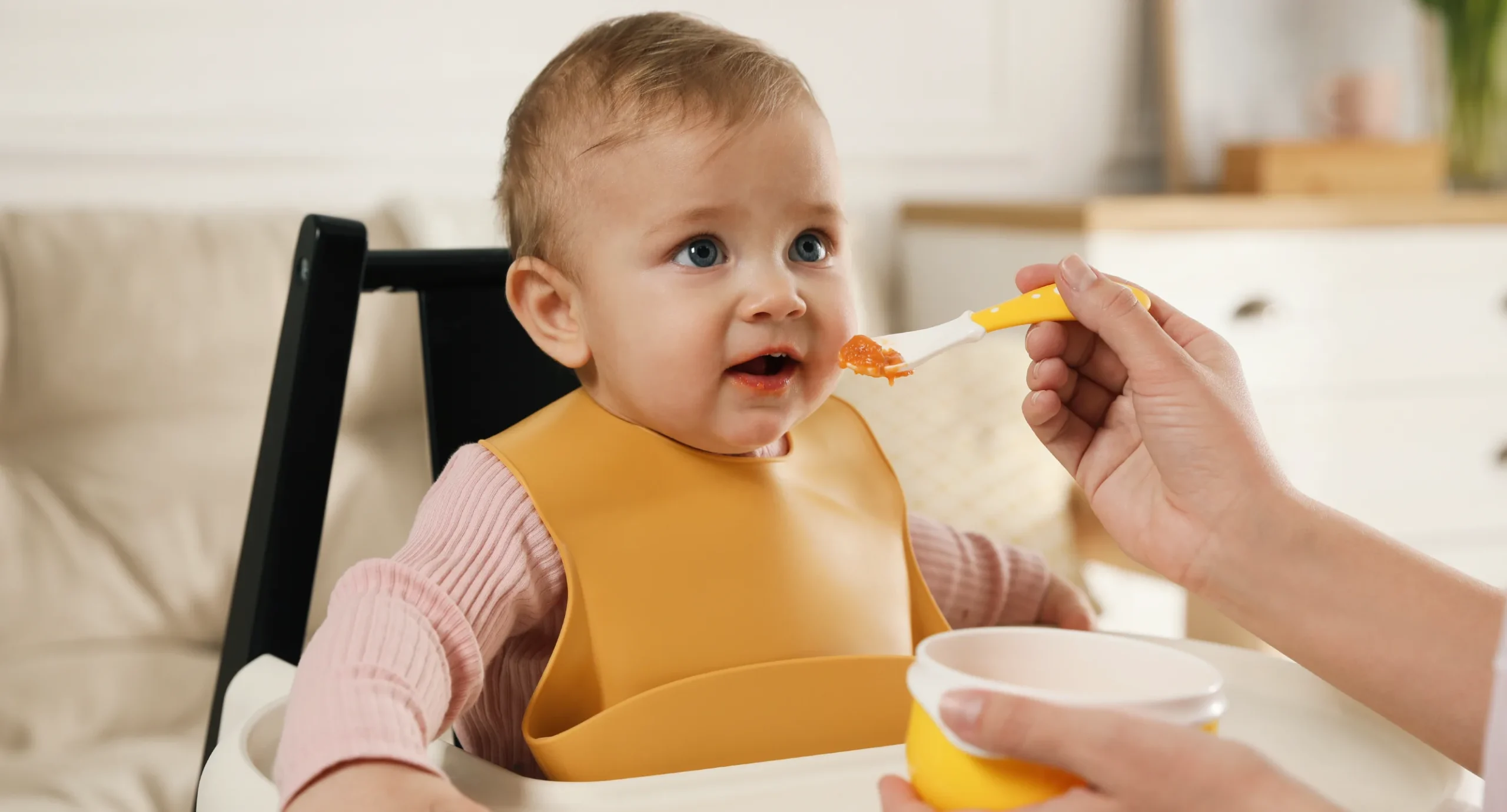 nutritious baby food recipes